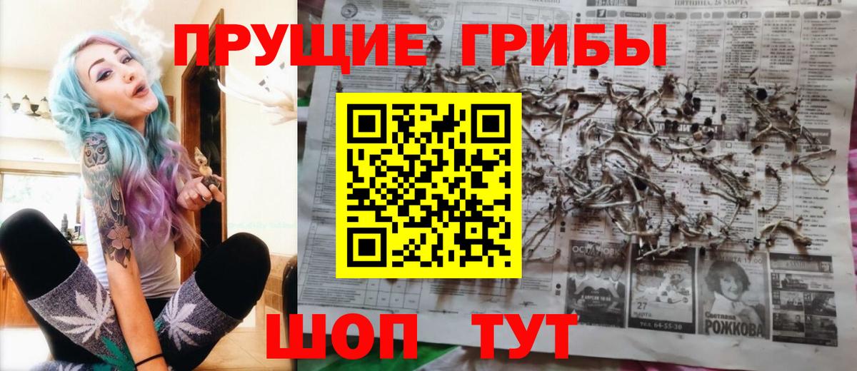Галлюциногенные грибы ЛСД Новокубанск