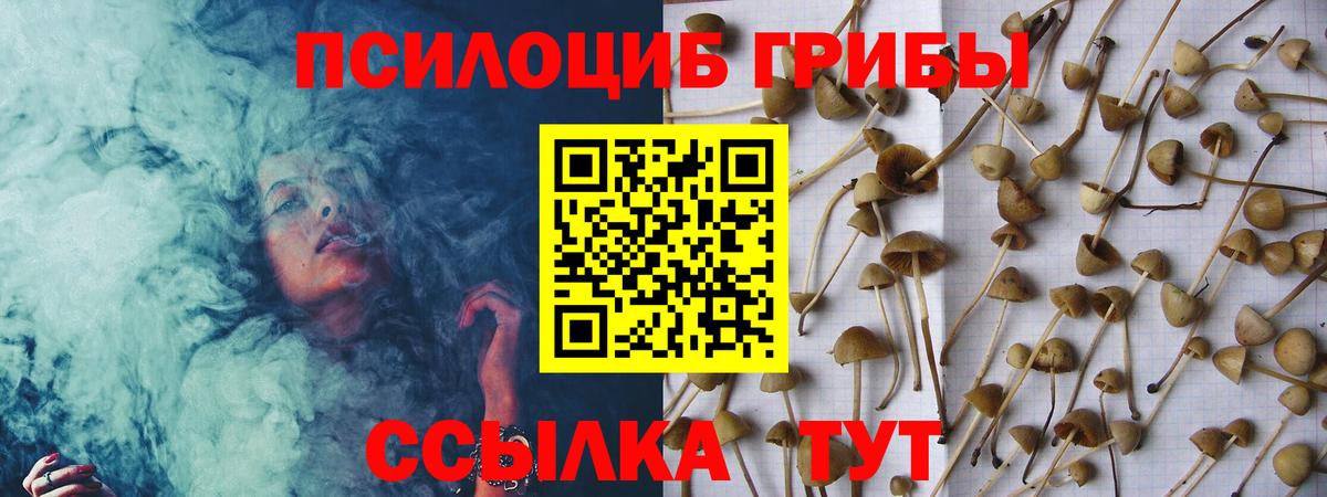 Галлюциногенные грибы мицелий  Вход с VPN  Новокубанск 